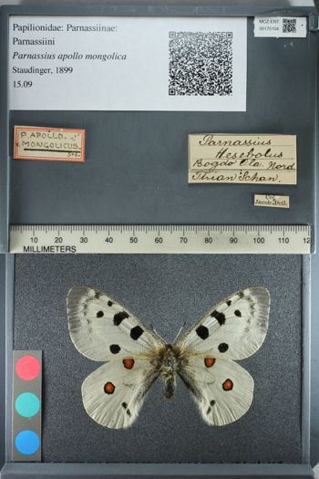 Media type: image;   Entomology 175104